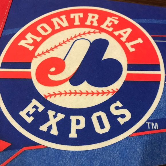 MONTREAL EXPOS WINCRAFT 2003 - Picture 3 of 9